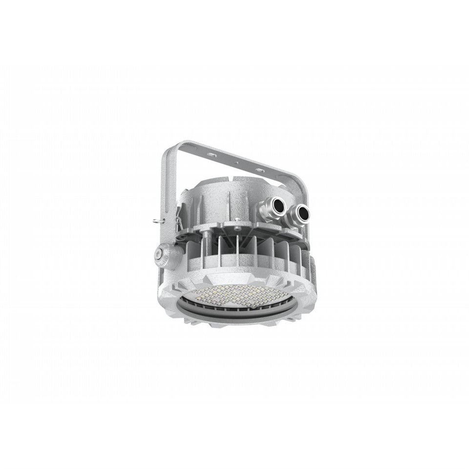 100W Circular EX-proof Spot Light suppliers